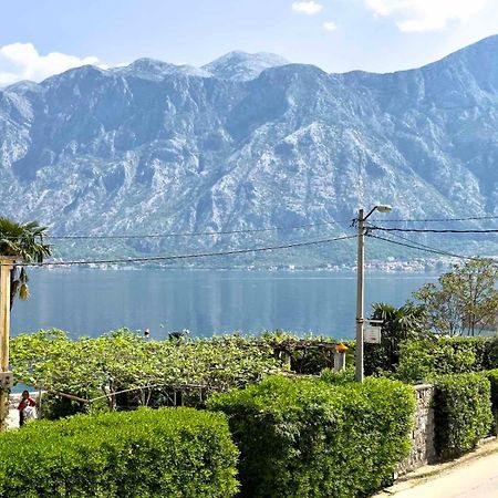 Apartments Asya Kotor Zewnętrze zdjęcie