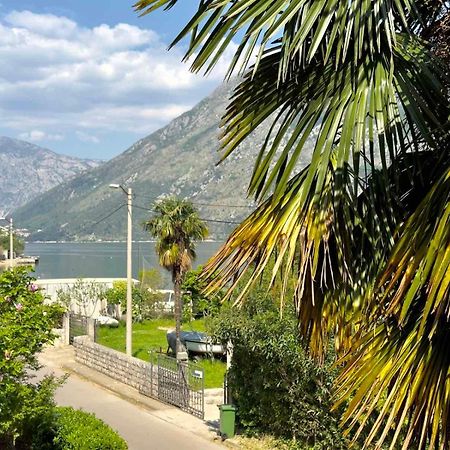 Apartments Asya Kotor Zewnętrze zdjęcie