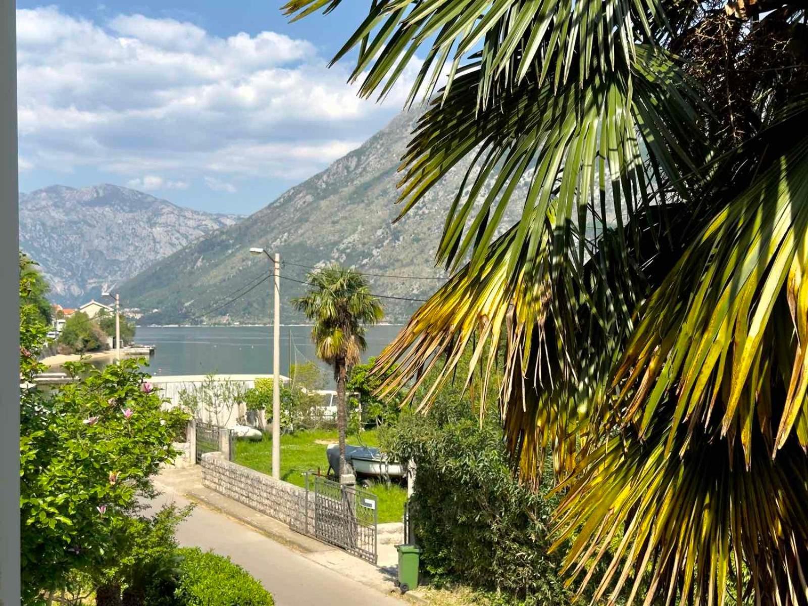 Apartments Asya Kotor Zewnętrze zdjęcie